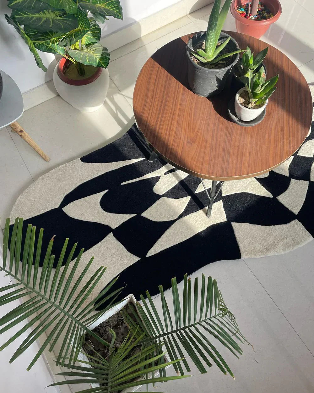 Black Obsidara Contemporary Hand Tufted New Zealand Rug