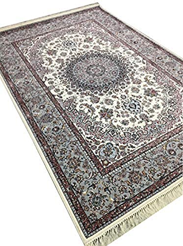 Luxury Irani Living Room Carpet with Soft Vintage Style Design