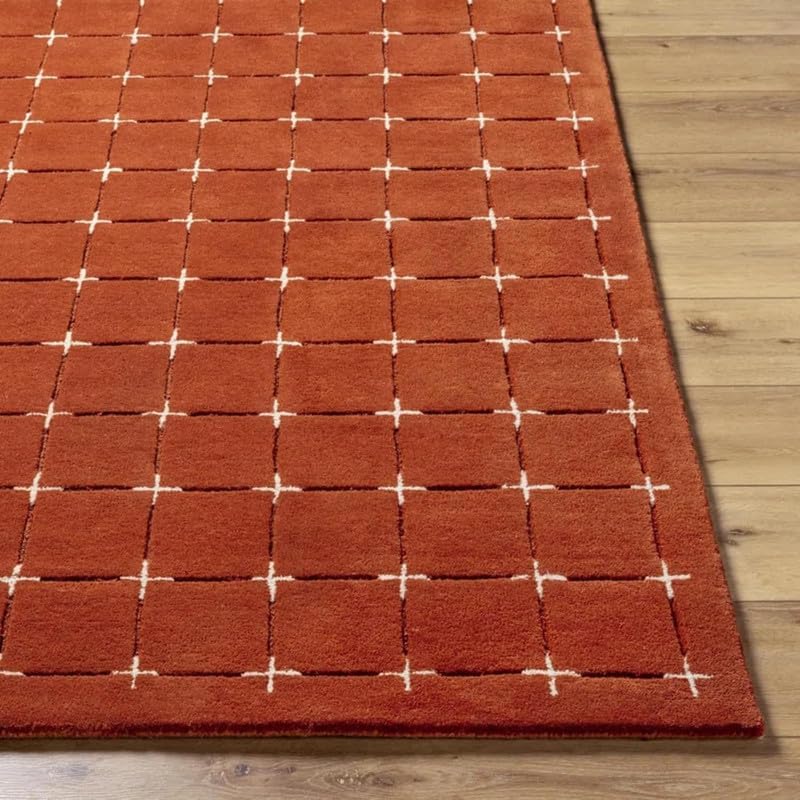 Soft Plush Terracotta Living Room Carpet