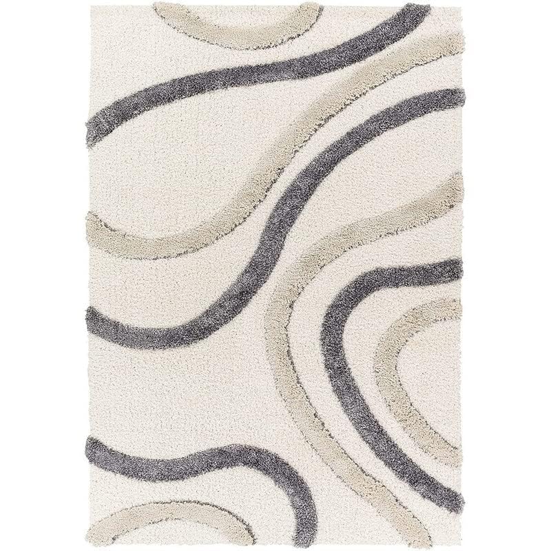 Contemporary Organic Curves Carpet