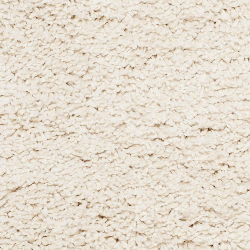 Elegant Ivory Modern Shaggy Carpet