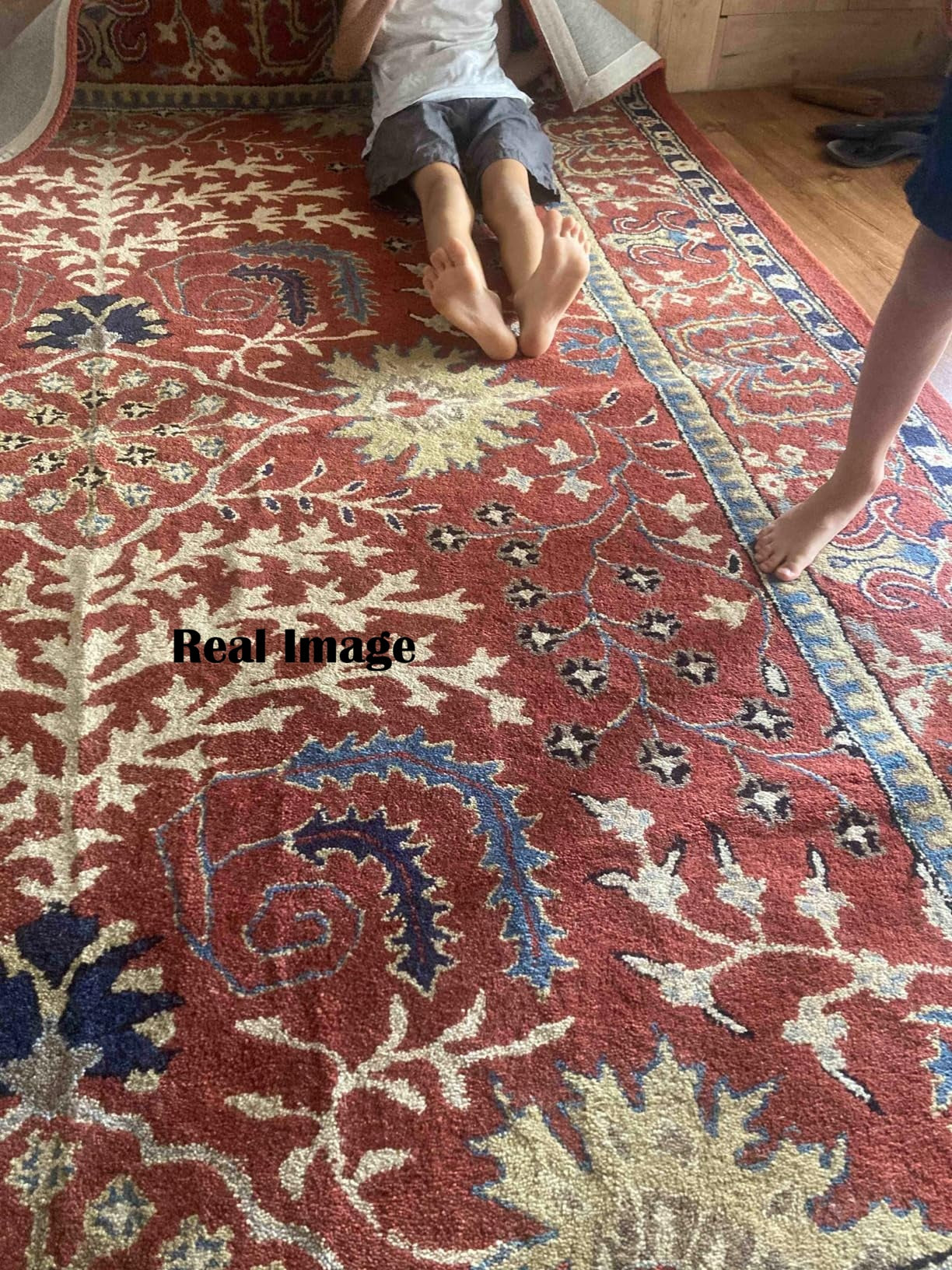Rust Red Traditional Carpet
