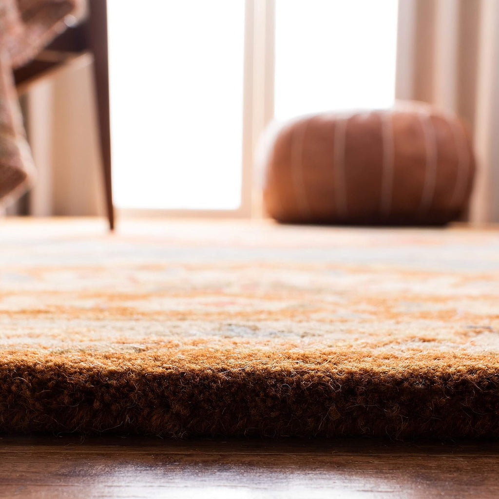 Decorative Blue Border Design Rug