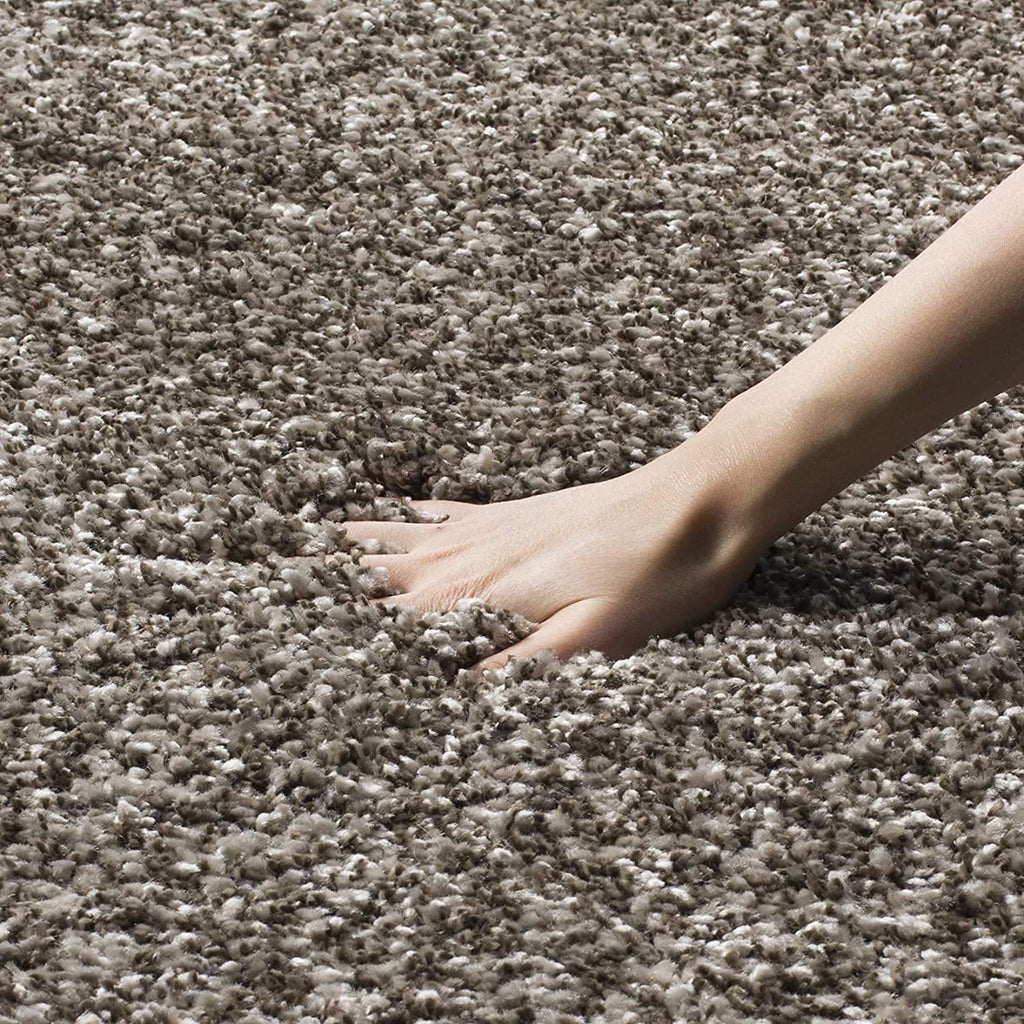 Elegant Taupe Soft Shaggy Carpet