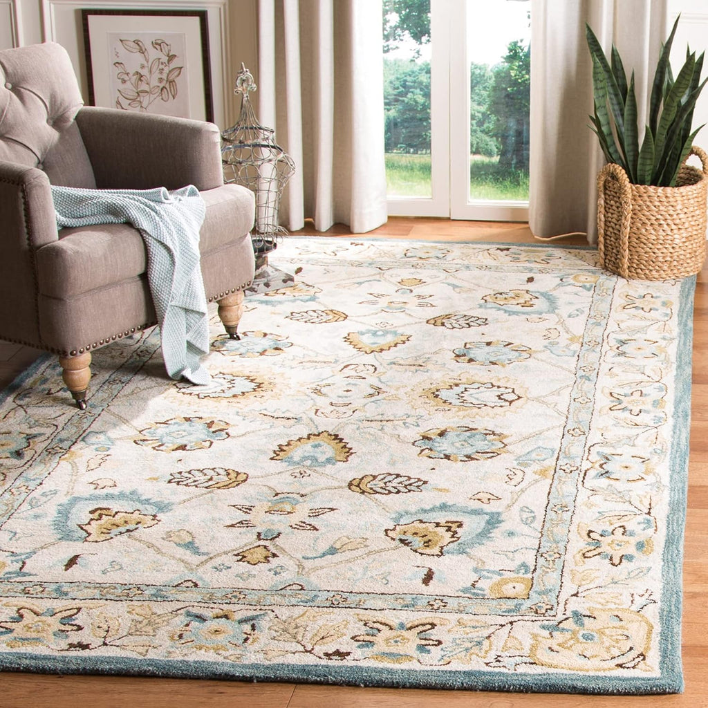 Elegant Living Room Rug