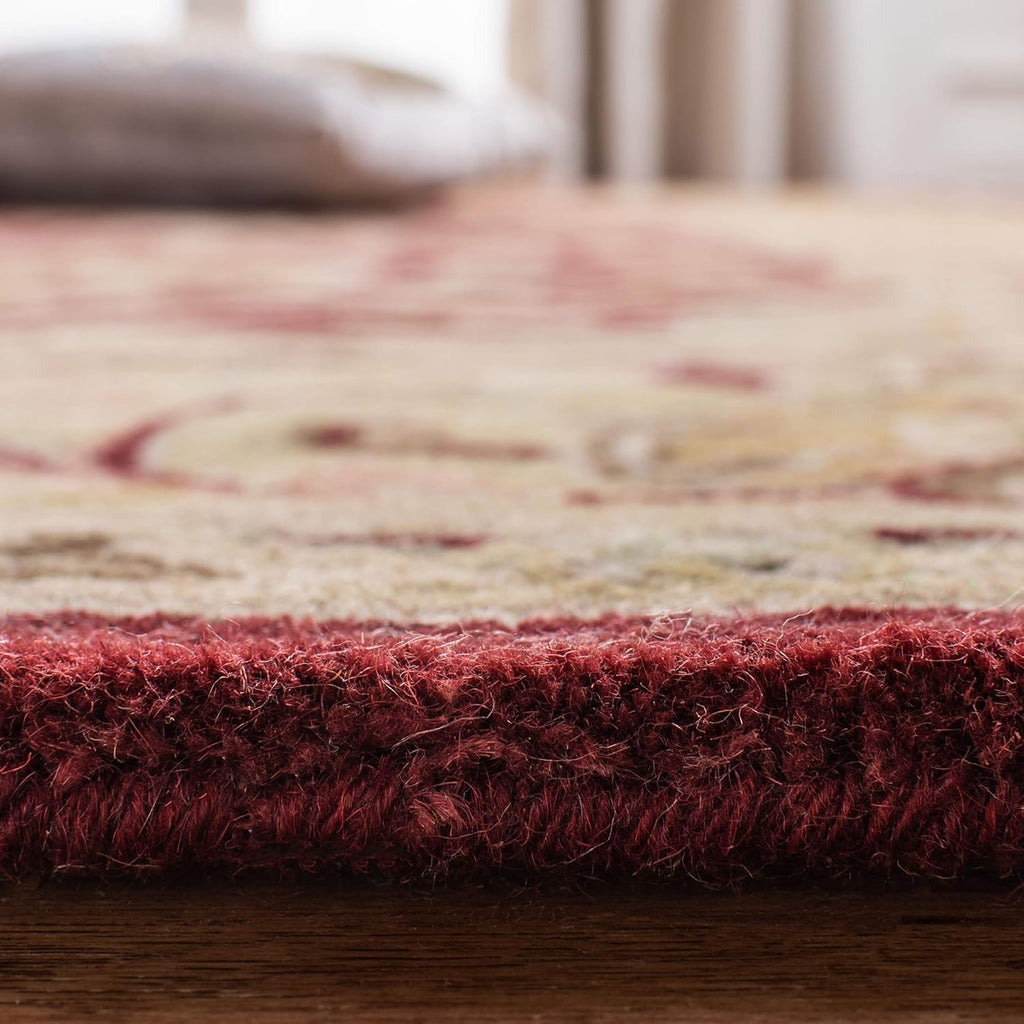 Ornate Border Persian Carpet & Rug