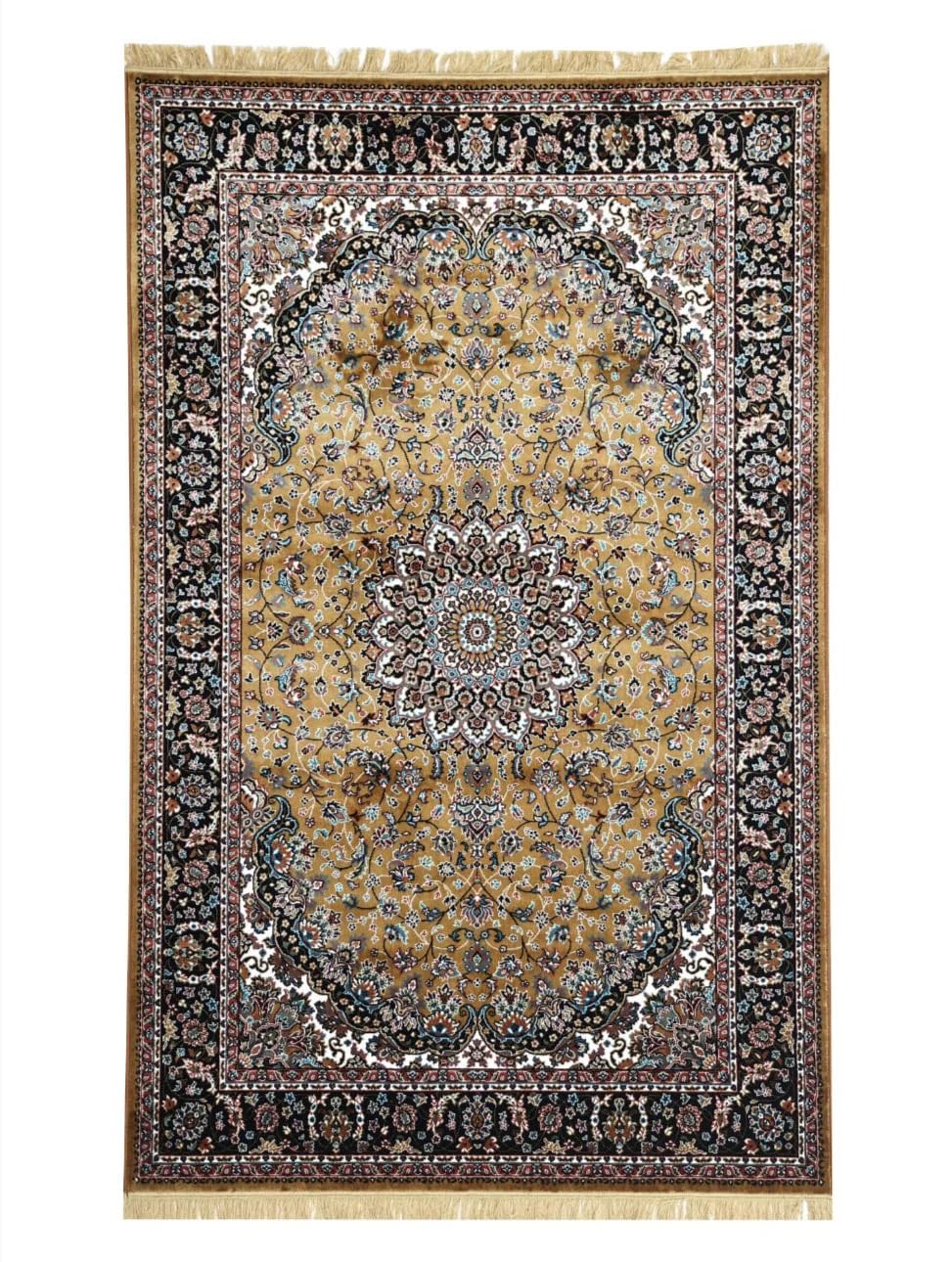 Traditional Vintage Area Rug with Black Border