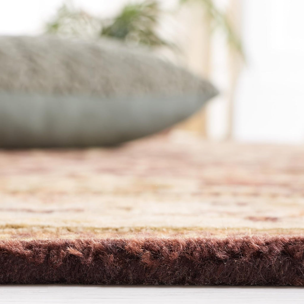 Brown Beige Floral Border Area Rug
