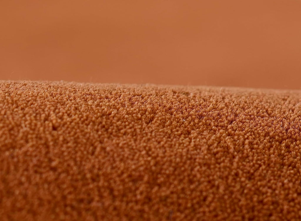 Warm terracotta center with ivory border Rug