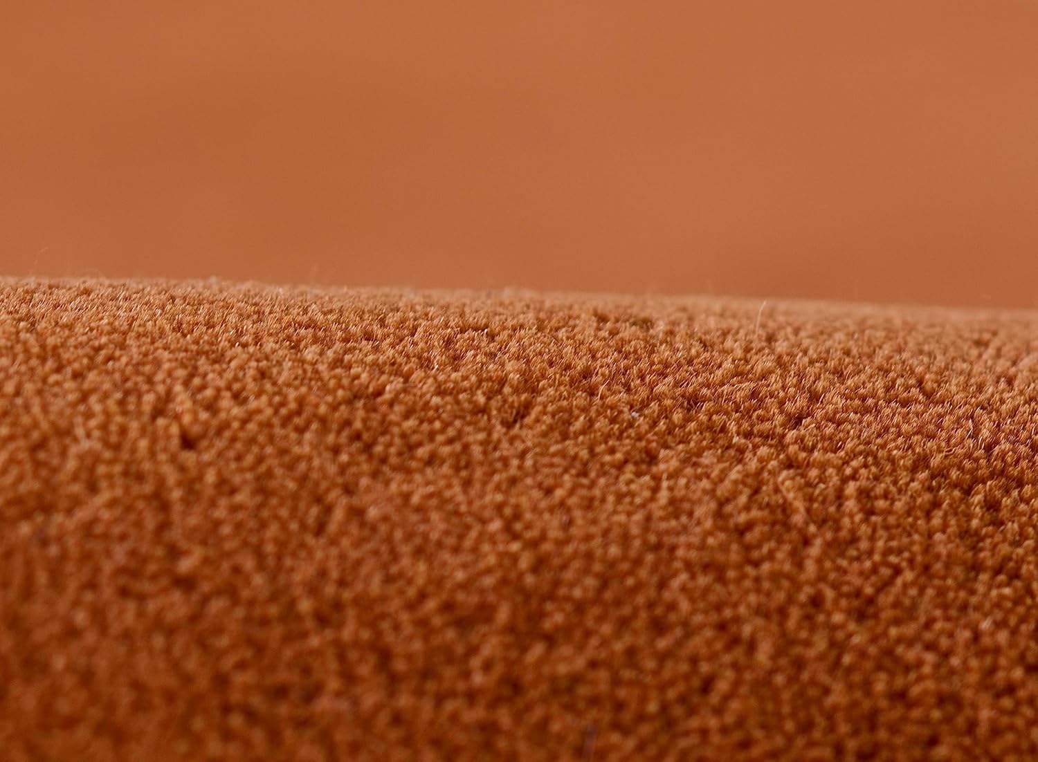 Warm terracotta center with ivory border Rug