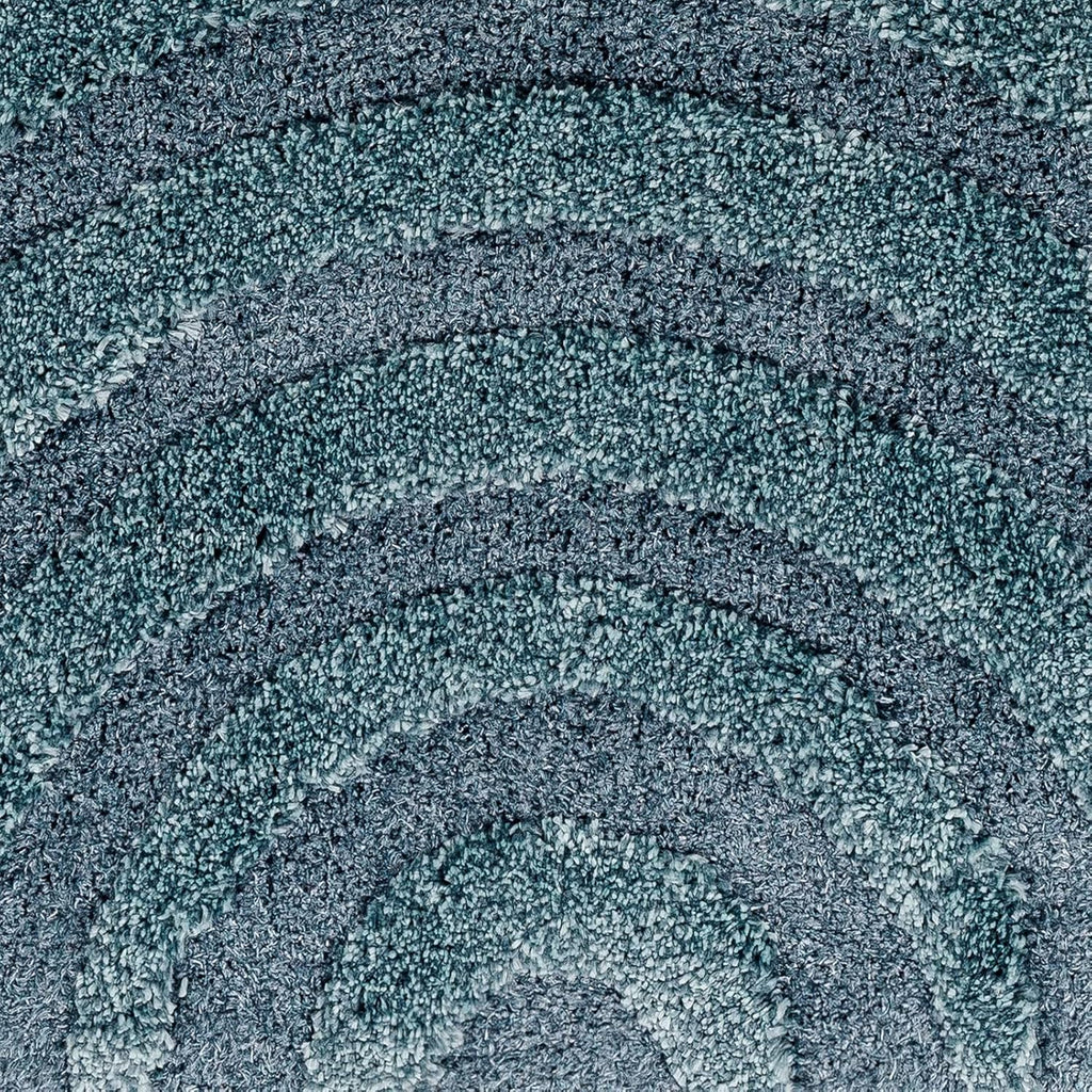 Contemporary Curve Blue Carpet & Rug
