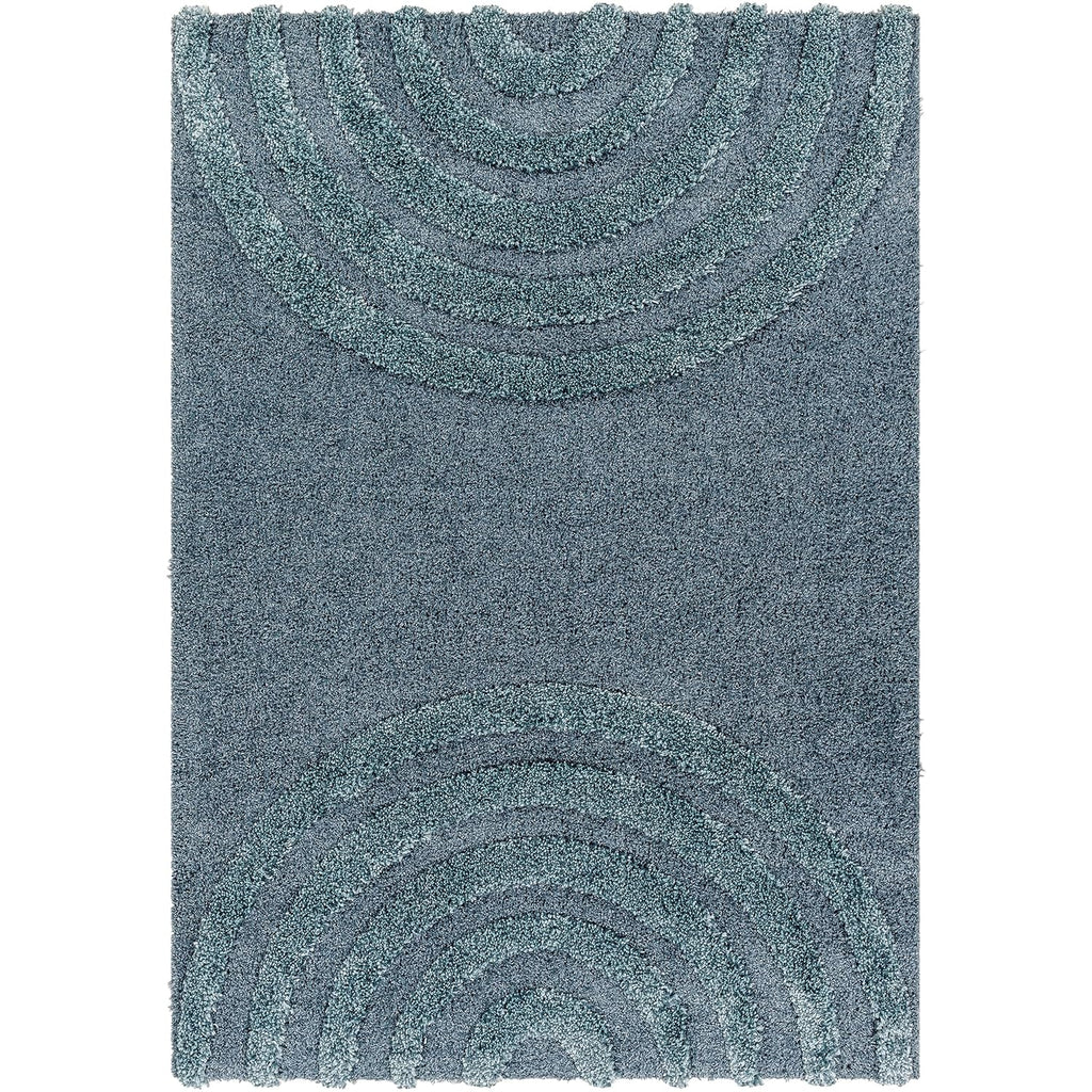 Contemporary Curve Blue Carpet & Rug
