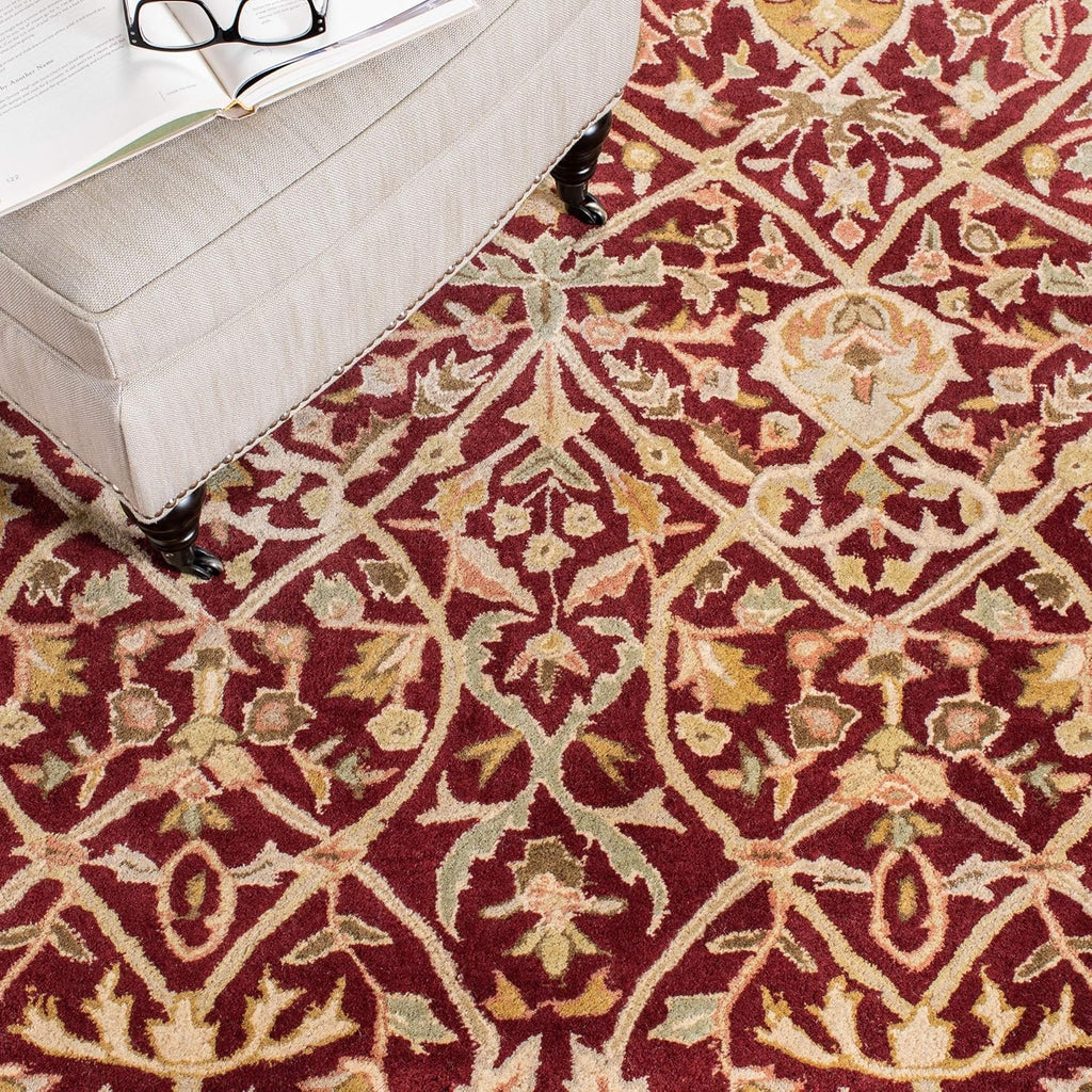 Ornate Border Persian Carpet & Rug