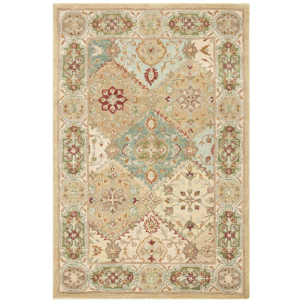 Soft Ivory Green Accent Rug
