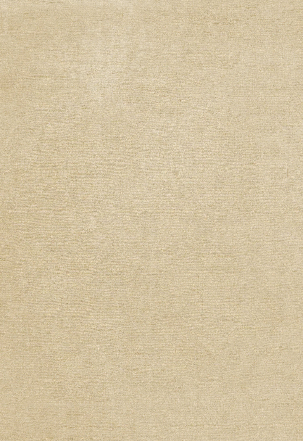 Plain Soft Beige Modern Wool Area Carpet