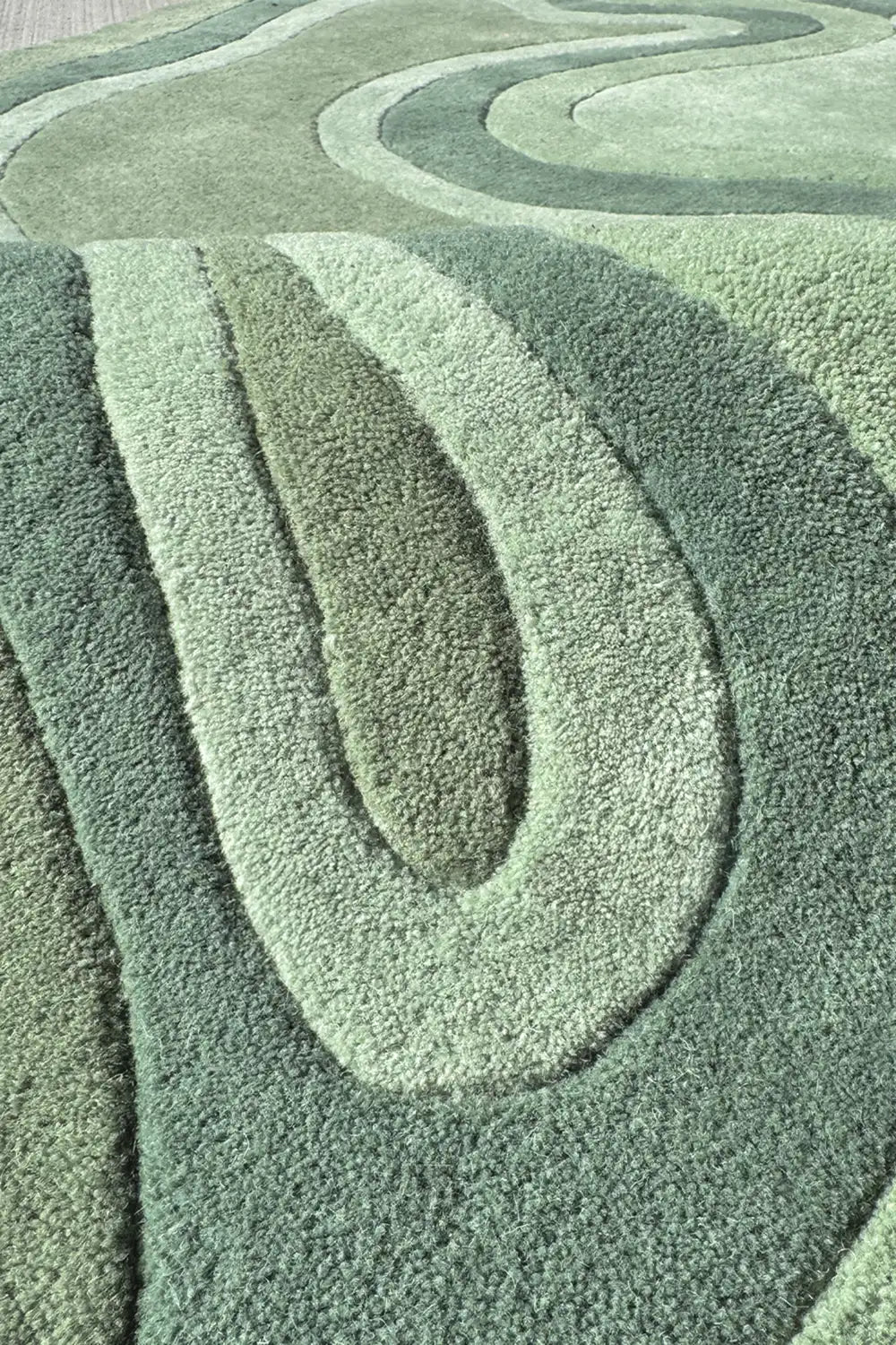Modern Organic Designer Carpet