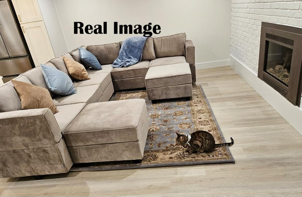 Persian Classic Border Carpet & Rug