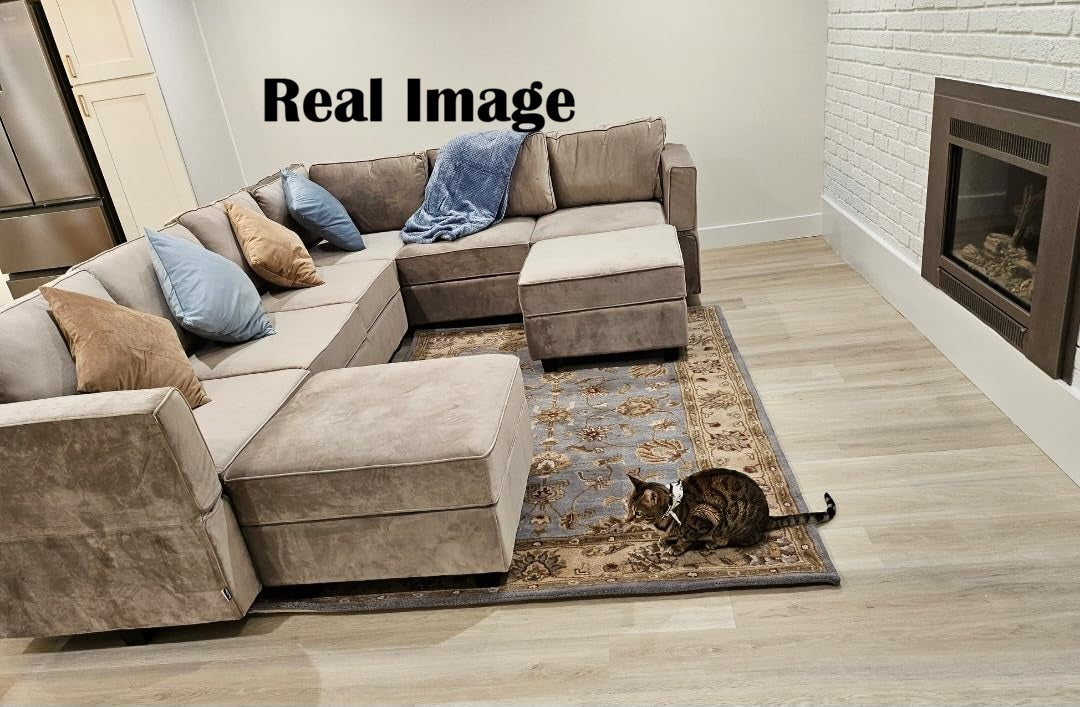 Persian Classic Border Carpet & Rug